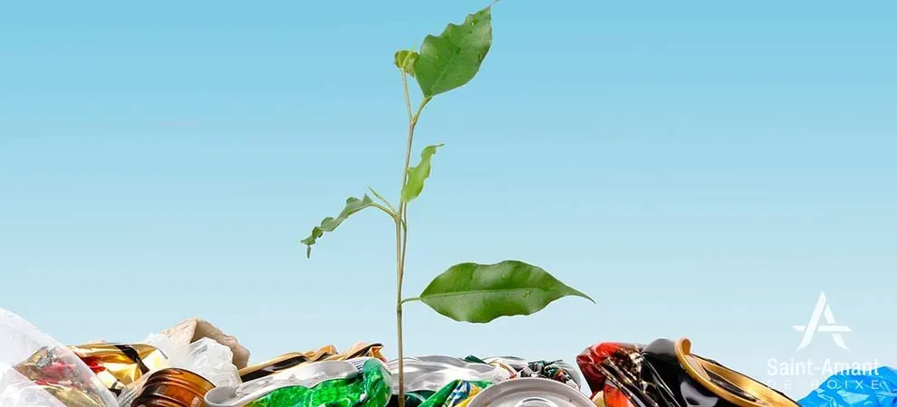 plante qui pousse sur un tapis de dechets
