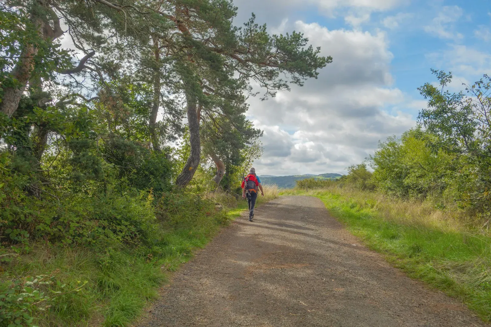 à proximité de Saint Amant de Boixe