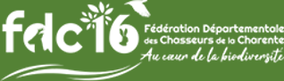 logo FDC16