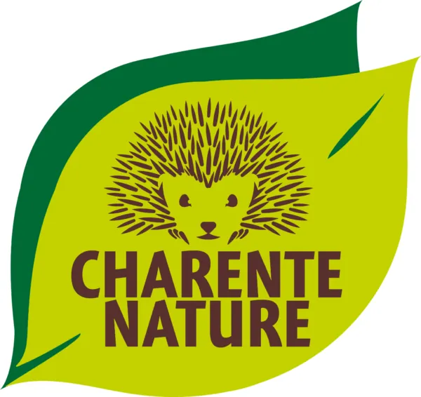 Biodiversité - chiroptère