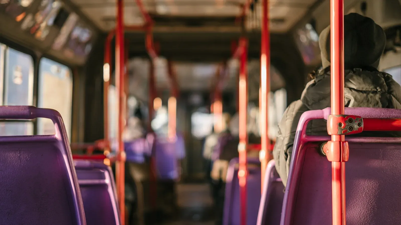 transports scolaires